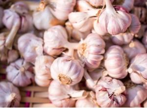Dehydrated garlic