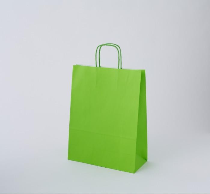 Paper bag with printed logo