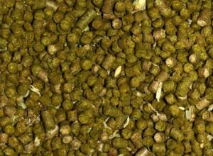BREWING ENZYMES