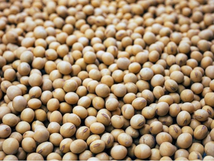 Wheat grain, grade 3