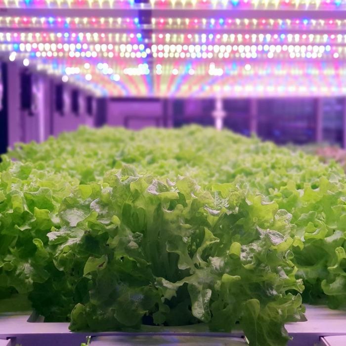 Grow Container Systems GCS 40HQ - Basic
