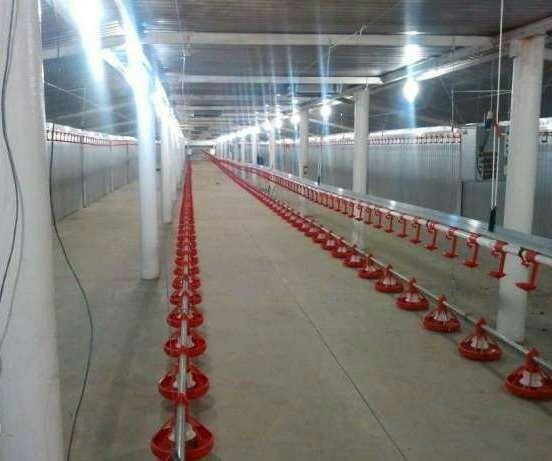 poultry farm ready business sale of agricultural complex