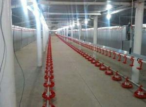 poultry farm ready business sale of agricultural complex