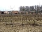premises, agricultural land, agricultural complex