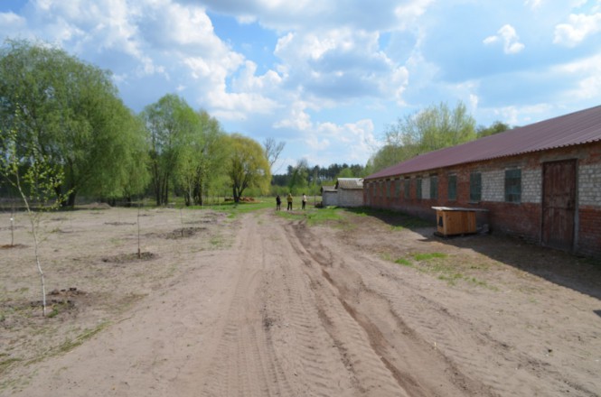 Agricultural complex for sale in a picturesque place Krasnoliman