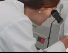 Quality analysis of essential oils