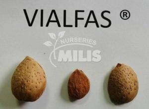 Vialfas