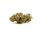 Bubblegum