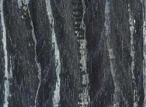 Sostenible Veneers