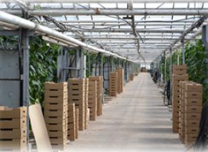 Selling operating greenhouse facilities