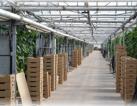 Selling operating greenhouse facilities
