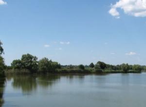 Selling a fish farm near Kiev