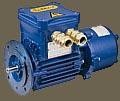 Cemp-Flameproof-Motors
