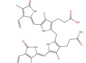 Bilirubin