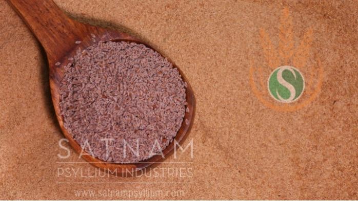 Psyllium Seed