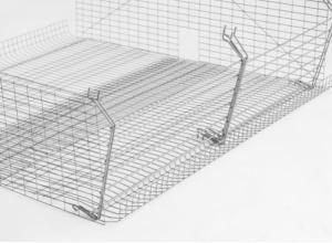 animal husbandry systems