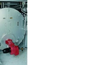 Low-pressure Steam Generator
