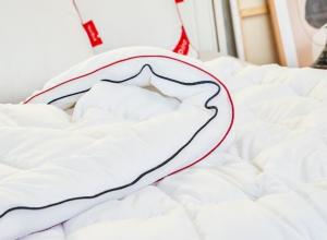 Climate Pillow