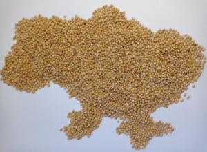 WHITE MILLET