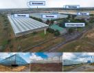 Sale of an operating vegetable growing business.