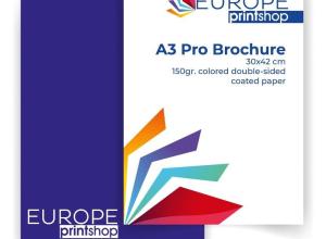 A3 Brochure Professional