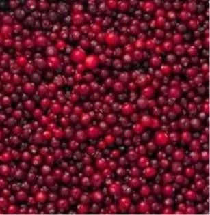 Frozen wild elderberry