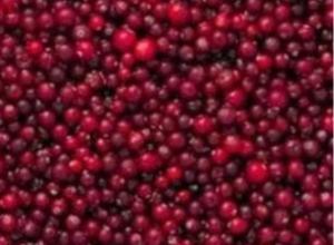 Frozen wild cranberrie