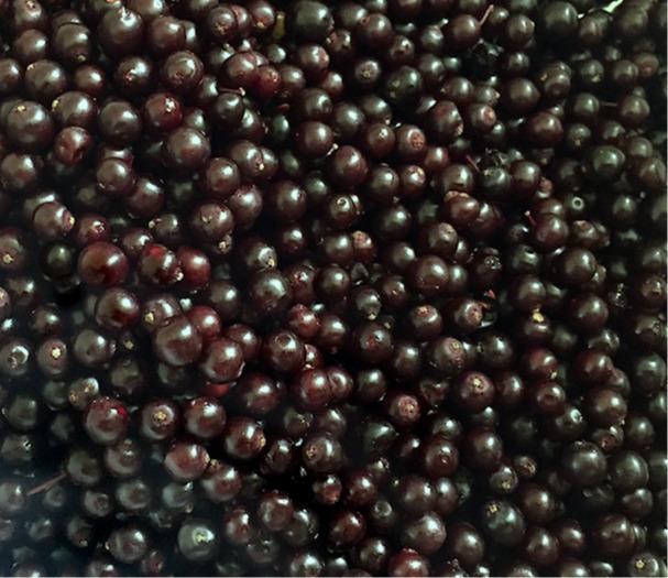 Frozen wild cranberrie