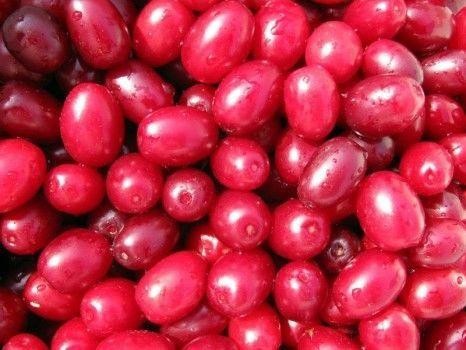 Frozen wild elderberry
