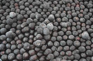Frozen wild elderberry