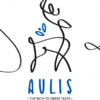 AULIS P.C.