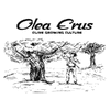 OLEA ERUS - OLIVE GROWING CULTURE
