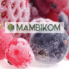 MAMBIKOM AGRAR LTD
