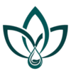 EMERGING MARKETS CONSULTANCY LTD