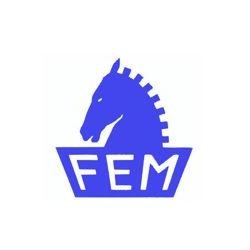 FEM S.R.L.