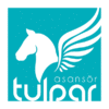 TULPAR LIFT