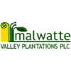 MALWATTE VALLEY PLANTATIONS PLC