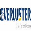 SHENZHEN EVERLUSTER OPTO ELECTRONIC CO.,LTD