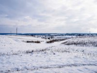 Ukraine’s Ban on Selling Farmland Is Choking the Economy 