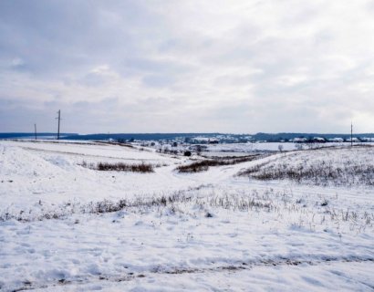 Ukraine’s Ban on Selling Farmland Is Choking the Economy 
