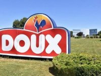 Producer of "Nasha Ryaby" invests 76 million euros in unprofitable poultry factory in France