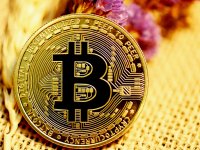 Finland eliminates seized bitcoin amid crypto crash