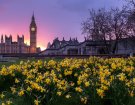 Pound sterling rises as traders ponder the agenda of new British Prime Minister Truss