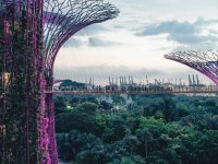Asia's office life revives in Hong Kong and Singapore