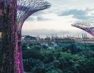Asia's office life revives in Hong Kong and Singapore